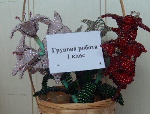 DSCN6118