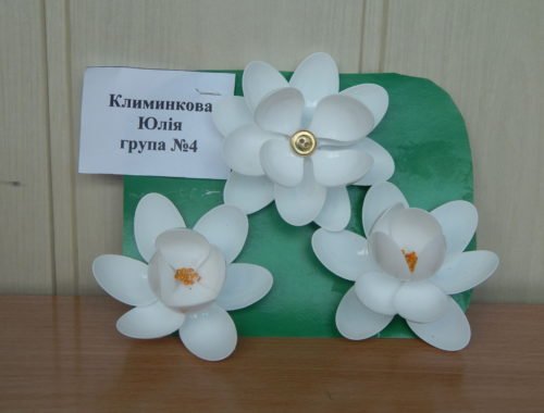 DSCN6144